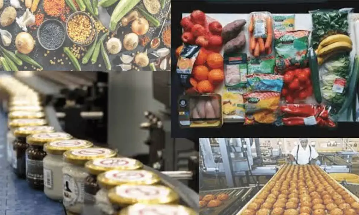 Tier 2 & 3 Cities Powering India’s Food Economy