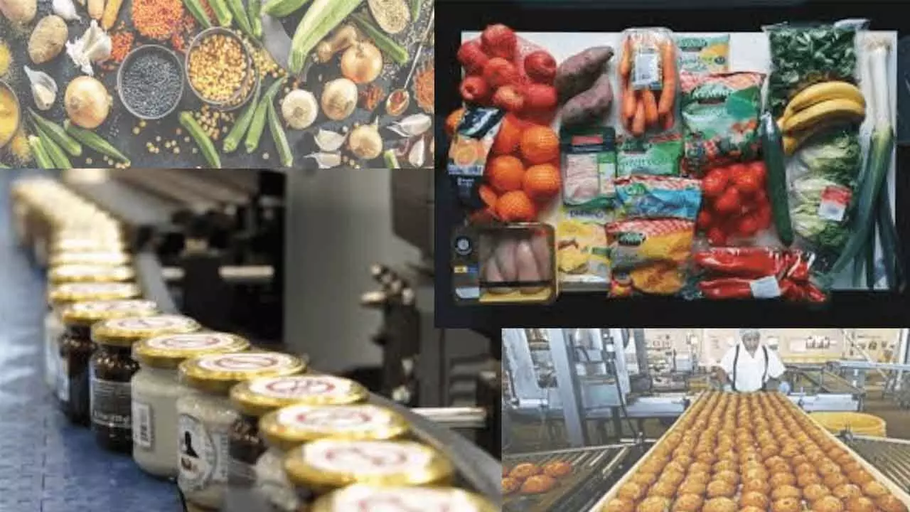 Tier 2 & 3 Cities Powering India’s Food Economy Tier 2 & 3 Cities Powering India’s Food Economy