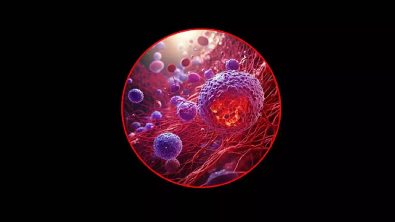 Common Antidepressant Can Shrink Tumour Growth, Fight Cancer: Study Common Antidepressant Can Shrink Tumour Growth, Fight Cancer: Study