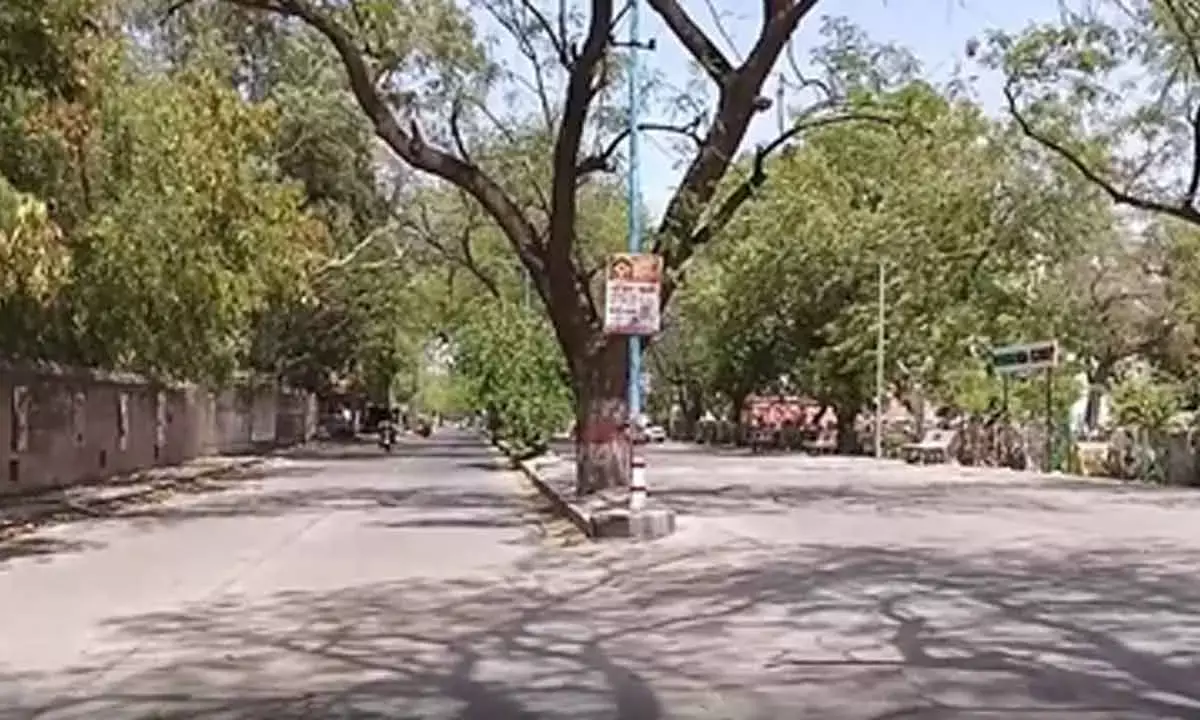 Rajasthan Reels Under Intense Heatwave, Red Alert Issued In Three Districts