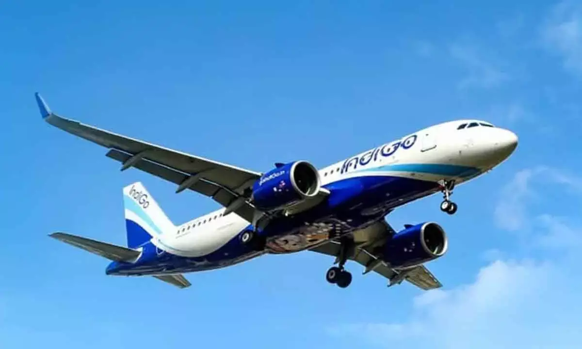 Union Govt To Take Decision On Deal With Turkish Carrier: IndiGo