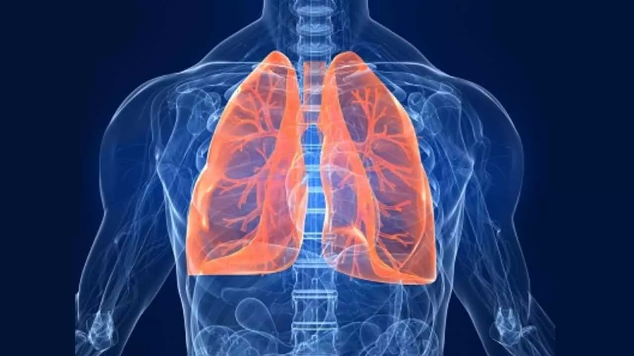 New Gene Therapy To Target Airway And Lungs Via Nasal Spray New Gene Therapy To Target Airway And Lungs Via Nasal Spray