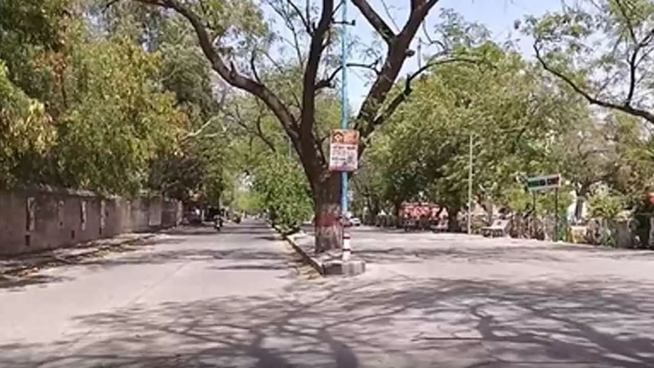 Rajasthan Reels Under Intense Heatwave, Red Alert Issued In Three Districts Rajasthan Reels Under Intense Heatwave, Red Alert Issued In Three Districts
