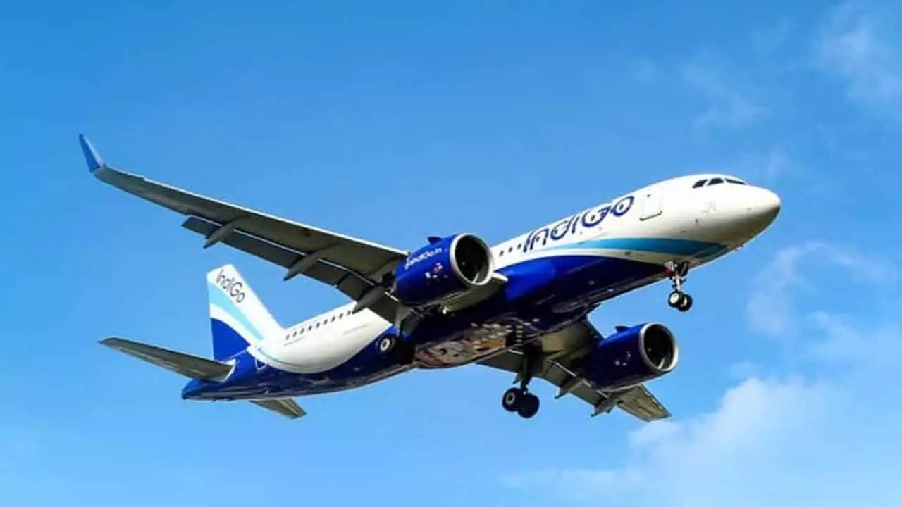 Union Govt To Take Decision On Deal With Turkish Carrier: IndiGo Union Govt To Take Decision On Deal With Turkish Carrier: IndiGo