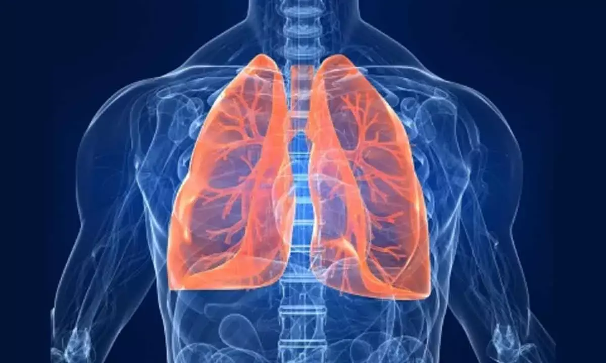 New Gene Therapy To Target Airway And Lungs Via Nasal Spray