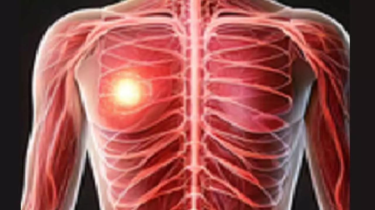 NIT Rourkelas New Biosensor Offers Affordable Breast Cancer Diagnosis