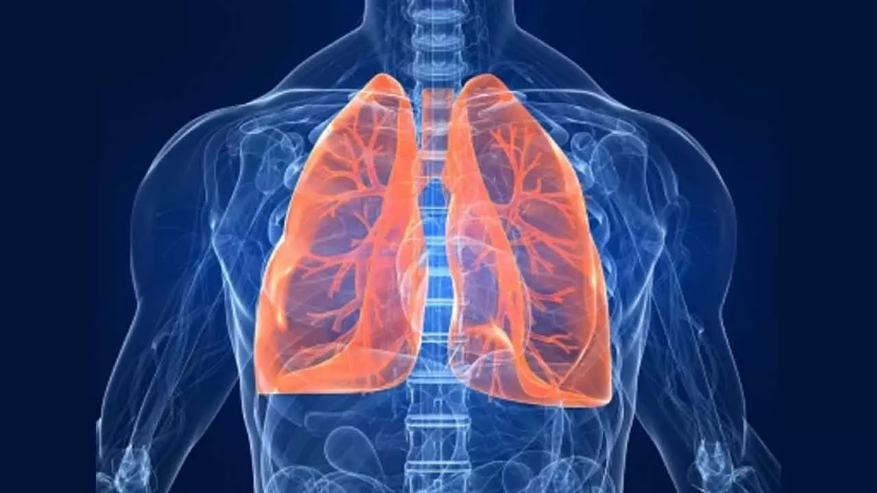New Gene Therapy To Target Airway And Lungs Via Nasal Spray New Gene Therapy To Target Airway And Lungs Via Nasal Spray