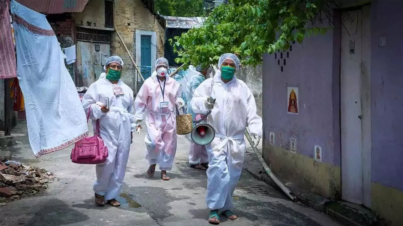 ‘Mystery’ Diseases: A Tale of Pathogens & Persistence