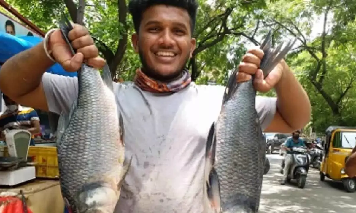 Drones To Soon Transport Fish In Difficult Terrains