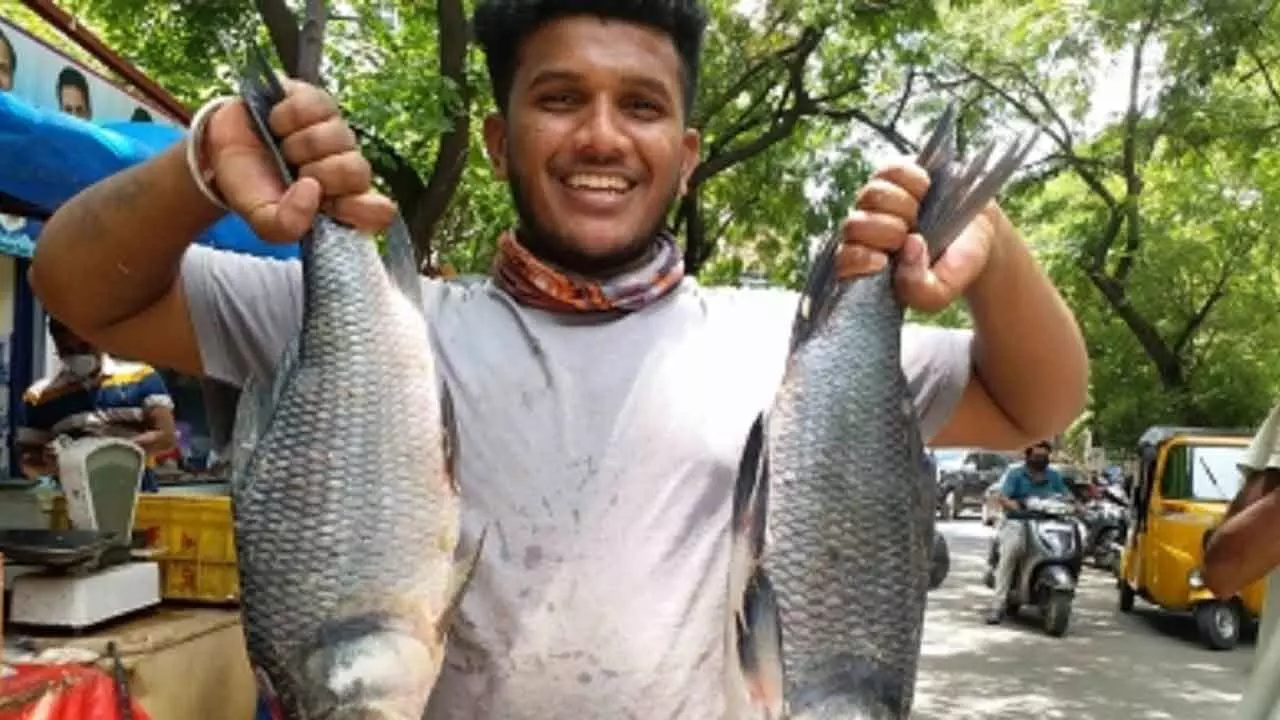 Drones To Soon Transport Fish In Difficult Terrains Drones To Soon Transport Fish In Difficult Terrains