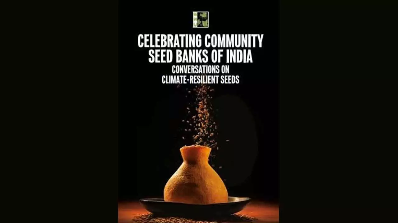 CSE Calls For Support To Community Seed Banks To Ensure Food Security In Climate-Risked Times CSE Calls For Support To Community Seed Banks To Ensure Food Security In Climate-Risked Times