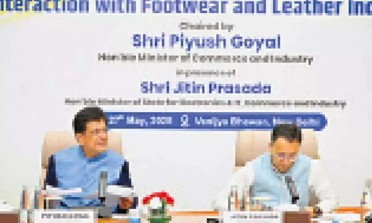 India Trusted Footwear, Leather Mfg Hub: Goyal