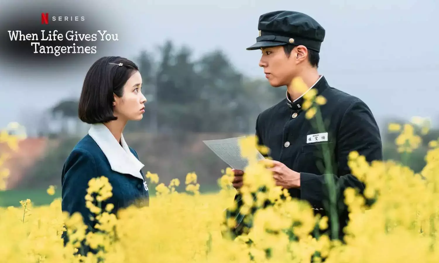 New K-Dramas 2025: Top Titles Everyone Is Talking About