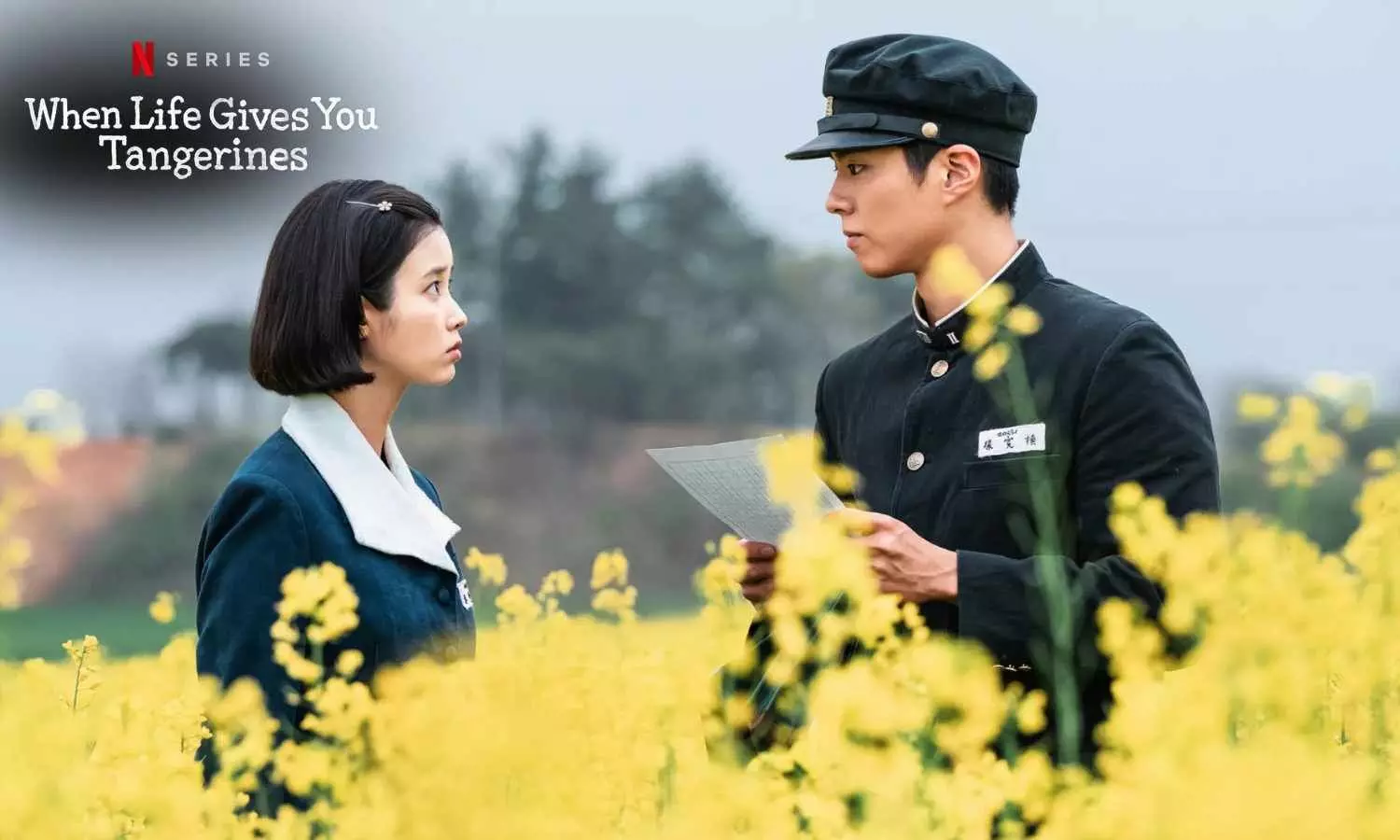 Netflix Investigates IU & Park Bo Gum’s When Life Gives You Tangerines Over On-Set Mistreatment Allegations