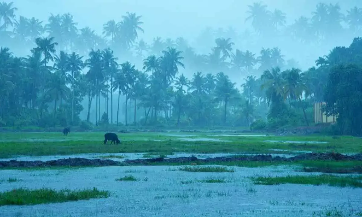 Good Monsoon To Boost Farming, Check Inflation