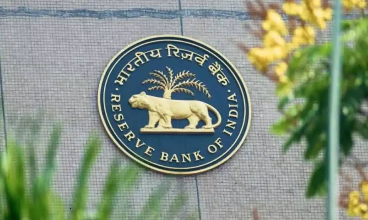 Risk Buffer Rose To 7.5% As RBI Balances Surplus And Stability
