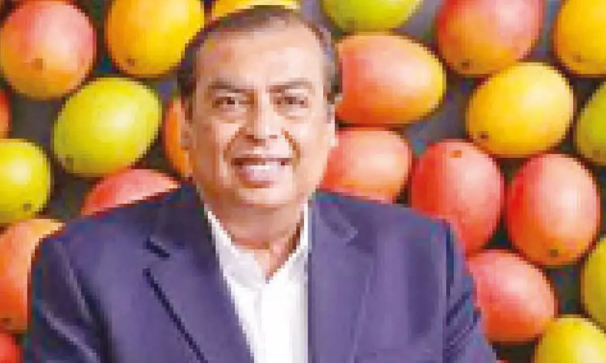 Mangoes, Millions & Mukesh Ambani: A King-Sized Fruit Tale