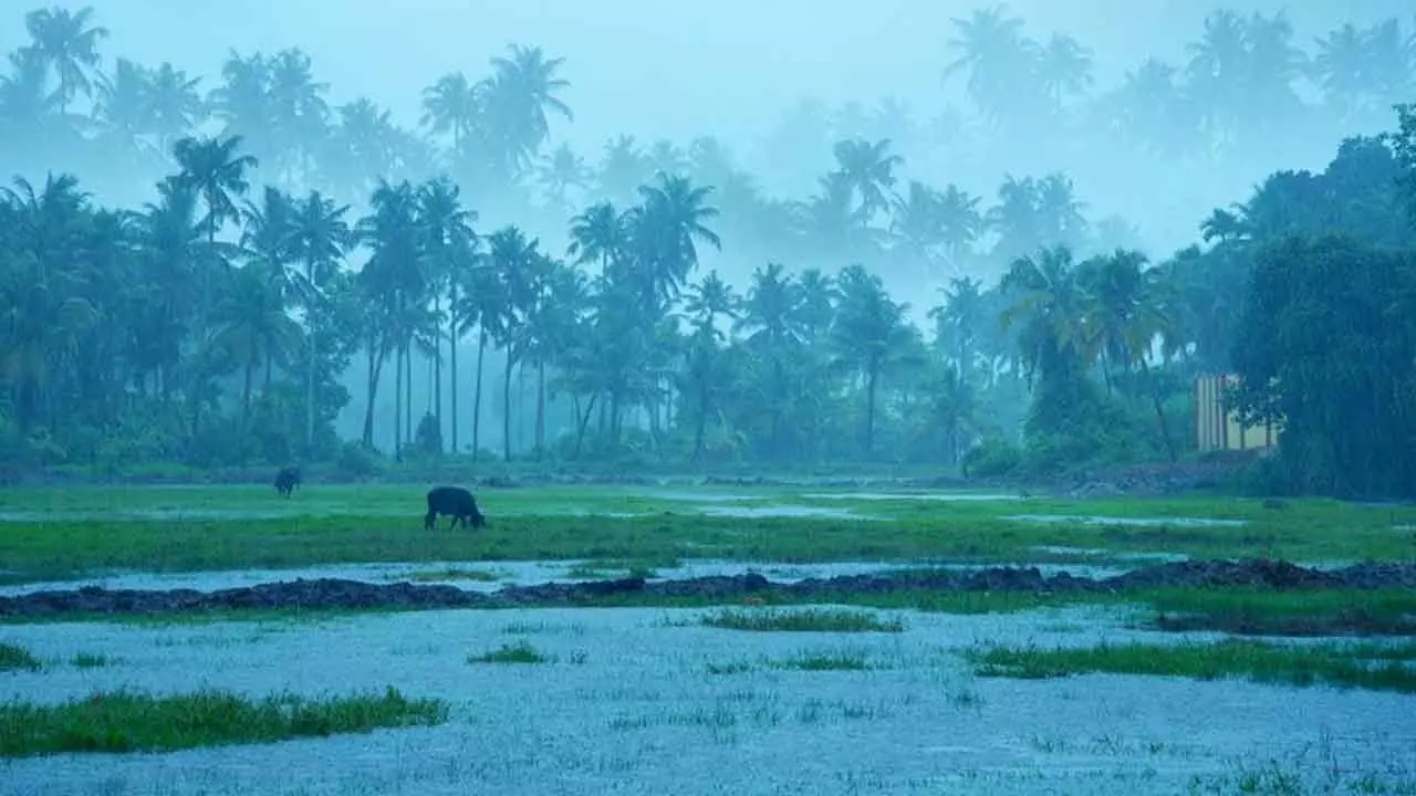 Good Monsoon To Boost Farming, Check Inflation Good Monsoon To Boost Farming, Check Inflation