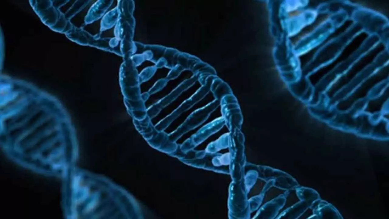 TN To Open Genetic Disorder Centres In C’batore, Madurai TN To Open Genetic Disorder Centres In C’batore, Madurai