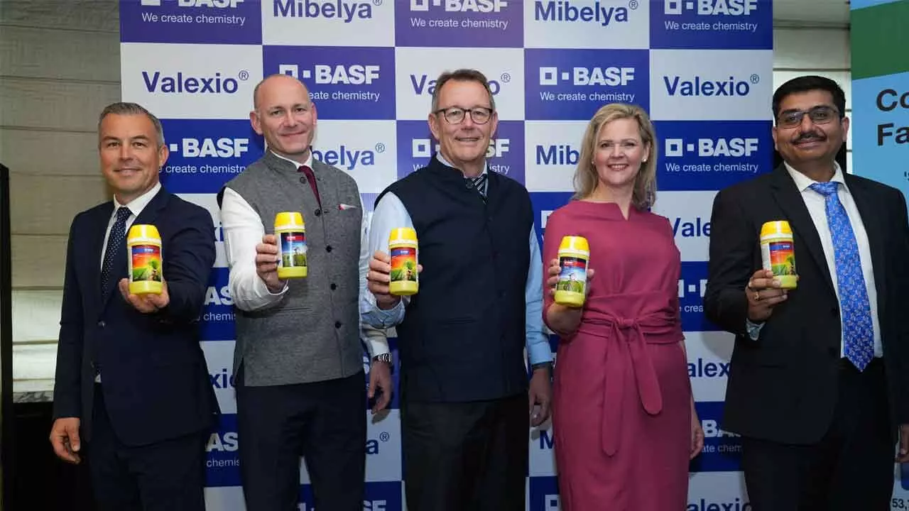 BASF Launches Breakthrough Crop Protection For Paddy Farmers BASF Launches Breakthrough Crop Protection For Paddy Farmers