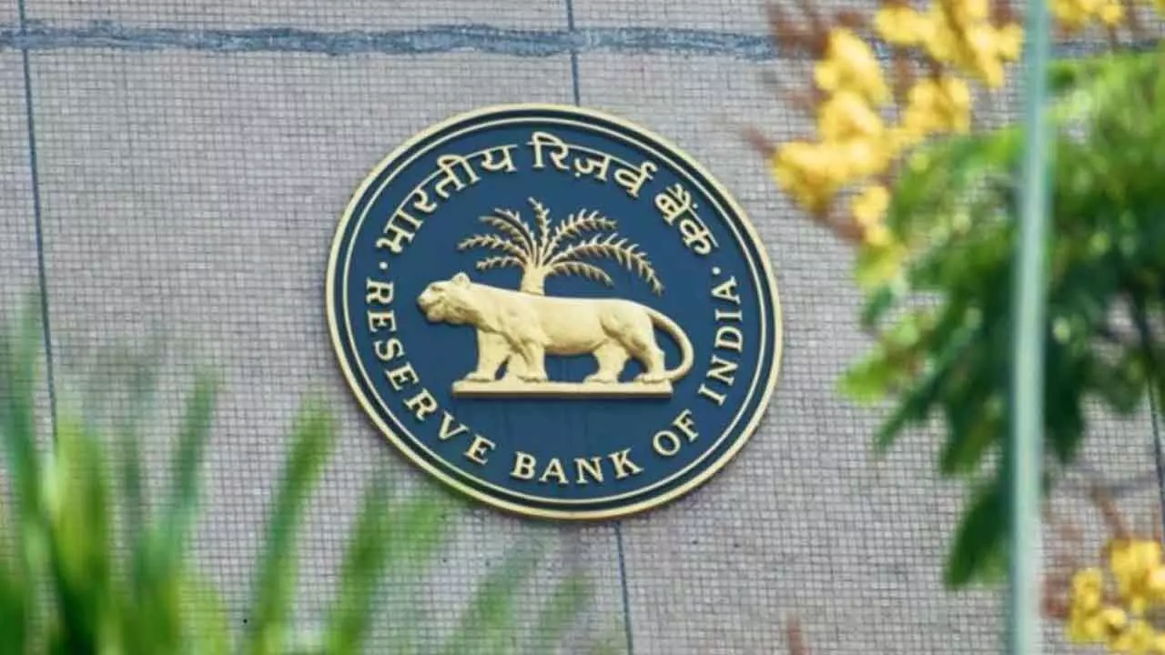 Risk Buffer Rose To 7.5% As RBI Balances Surplus And Stability