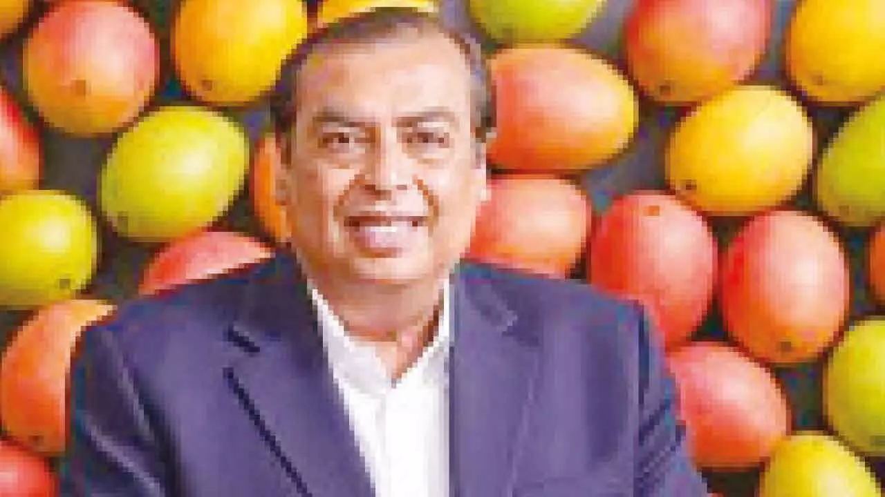 Mangoes, Millions & Mukesh Ambani: A King-Sized Fruit Tale