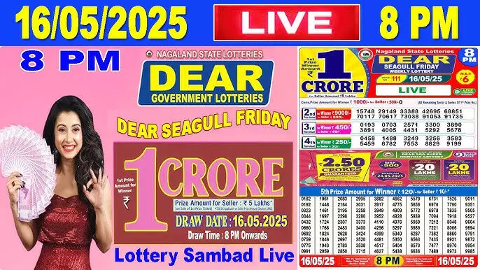 Nagaland Lottery Sambad Friday Result (May 30, 2025): Dear Meghna Morning 1 PM Draw Announced — Jackpot Winner Ticket No. 62A 20955!
