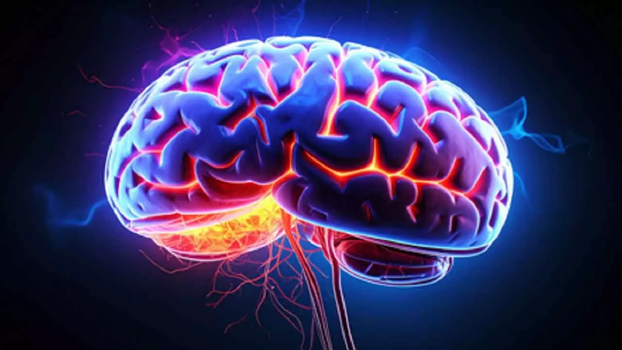 Sleeping Disorders May Signal Risk Of Parkinsons Disease Sleeping Disorders May Signal Risk Of Parkinsons Disease
