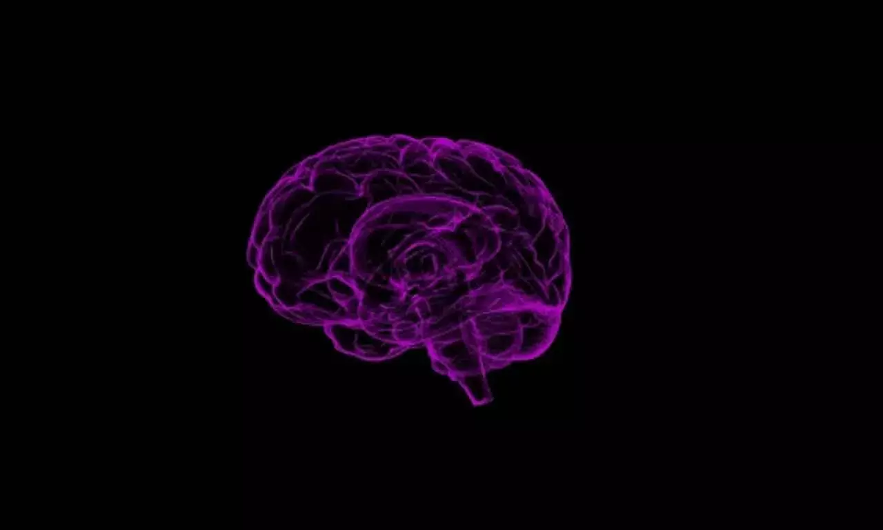 Study Finds Gene Variant That Doubles Dementia Risk For Men