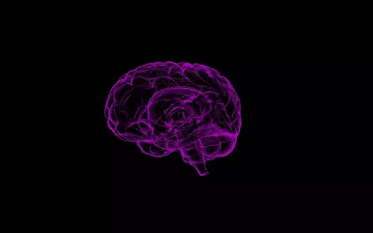Study Finds Gene Variant That Doubles Dementia Risk For Men Study Finds Gene Variant That Doubles Dementia Risk For Men