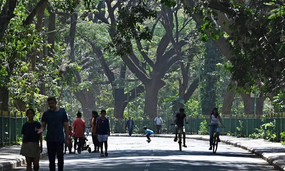Bengaluru to Breathe Easier: Massive 153-Acre Eco Park Coming to Madappanahalli