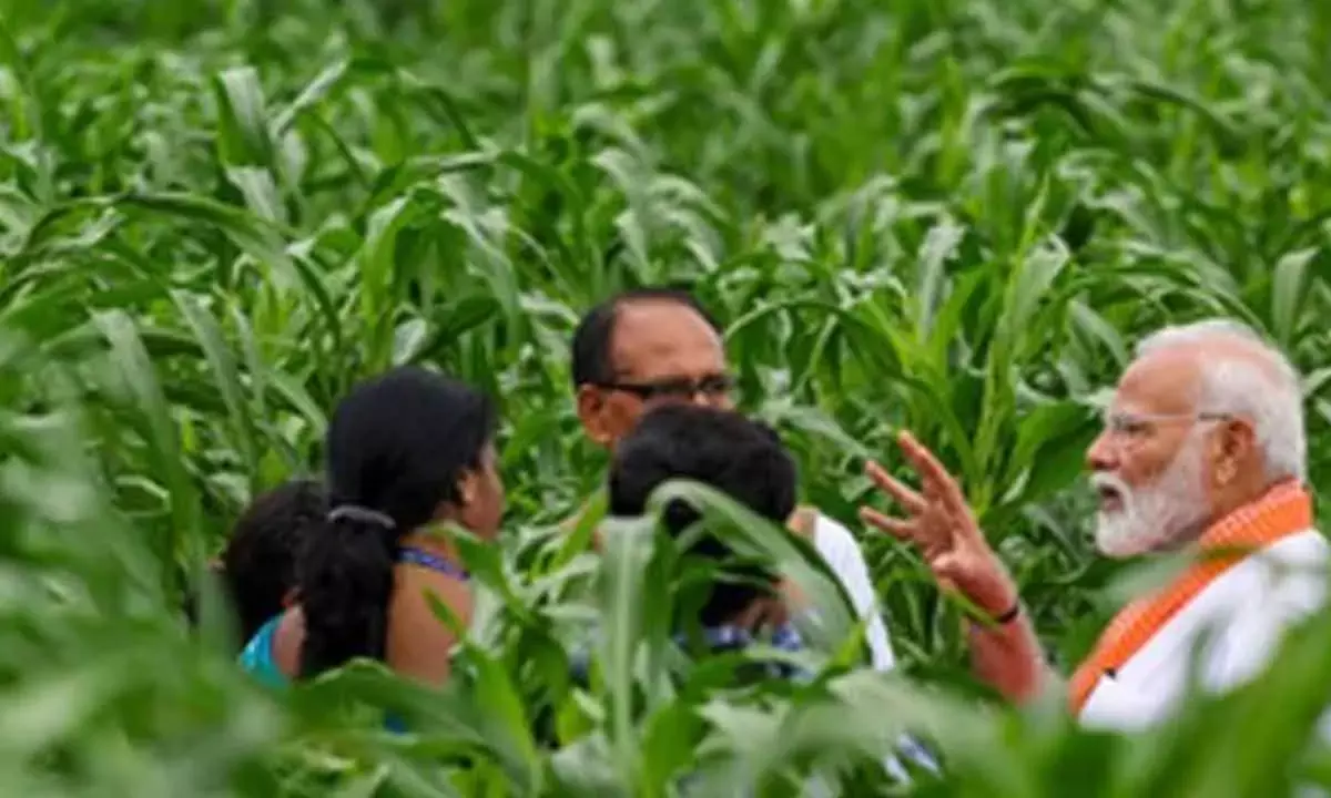 6.1 Cr Farmers Have Aadhaar-Like Digital IDs Linked To Land Records