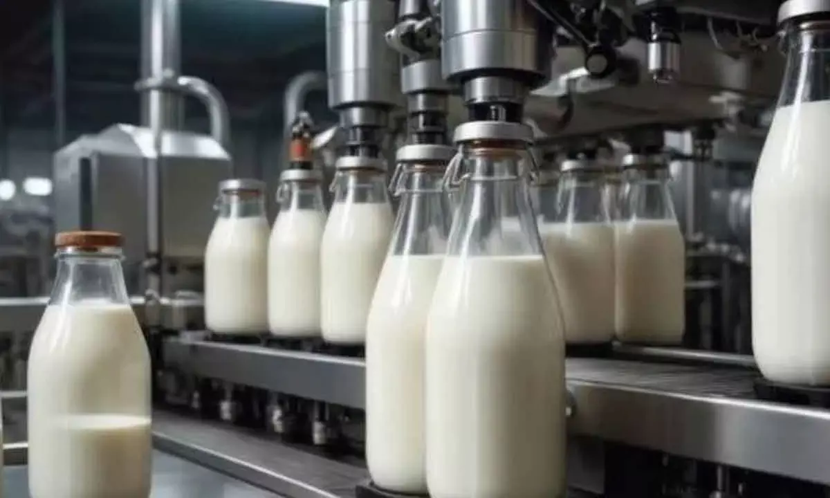 Dairy Firms To See 11-13 % Higher Revenue Growth