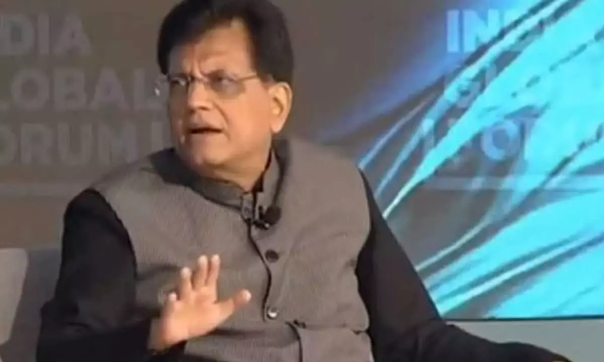 India vulnerable sectors’ protection in FTAs: Goyal