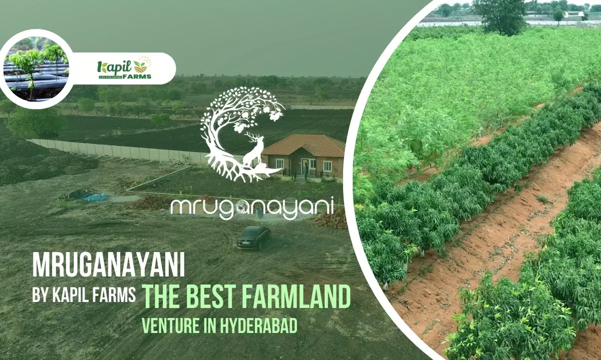 Why Farmland Near Hyderabad is Becoming the Next Big Investment Trend