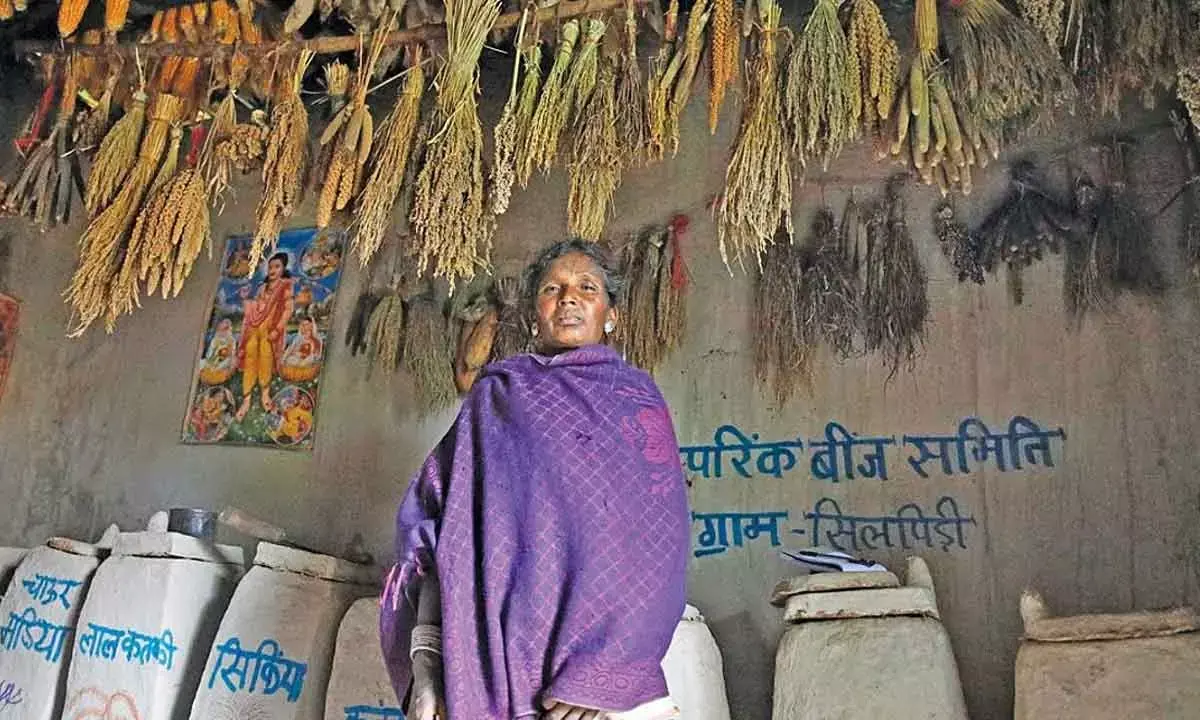 Wildlife & Biodiversity: SEED SAVIOURS