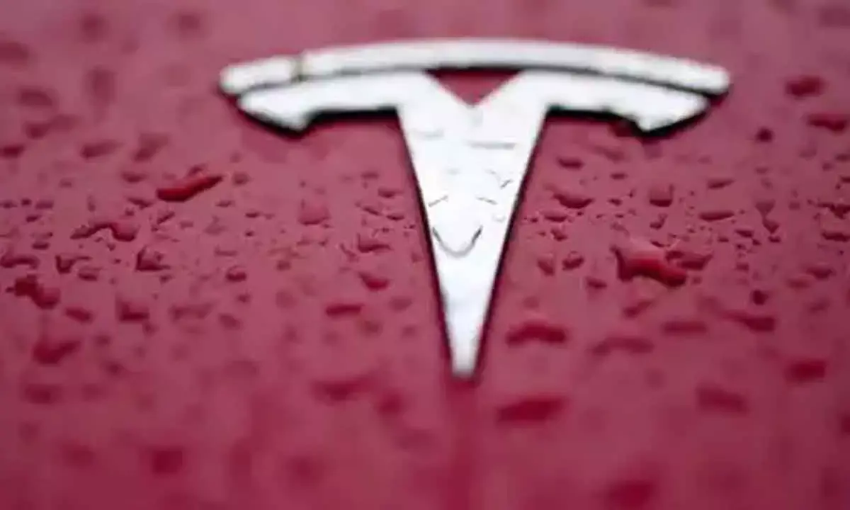 Tesla’s No Not A Big Setback But Policy Tweaks Need Of Hour