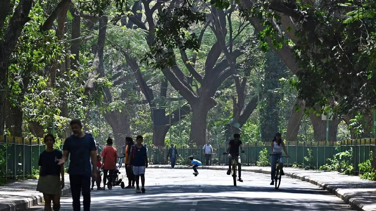 Bengaluru to Breathe Easier: Massive 153-Acre Eco Park Coming to Madappanahalli Bengaluru to Breathe Easier: Massive 153-Acre Eco Park Coming to Madappanahalli