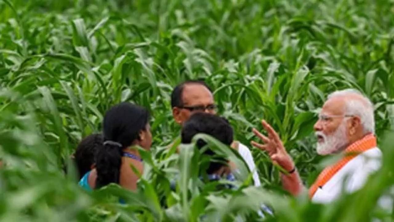 6.1 Cr Farmers Have Aadhaar-Like Digital IDs Linked To Land Records 6.1 Cr Farmers Have Aadhaar-Like Digital IDs Linked To Land Records