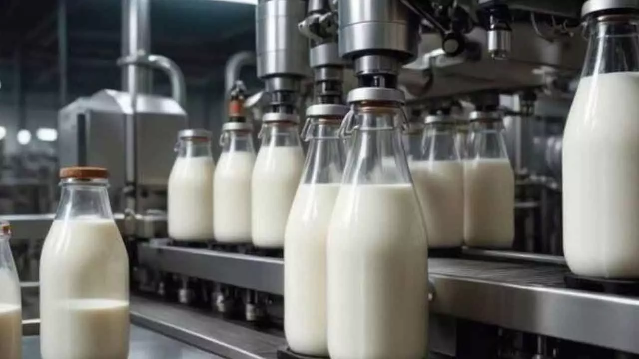 Dairy Firms To See 11-13 % Higher Revenue Growth Dairy Firms To See 11-13 % Higher Revenue Growth