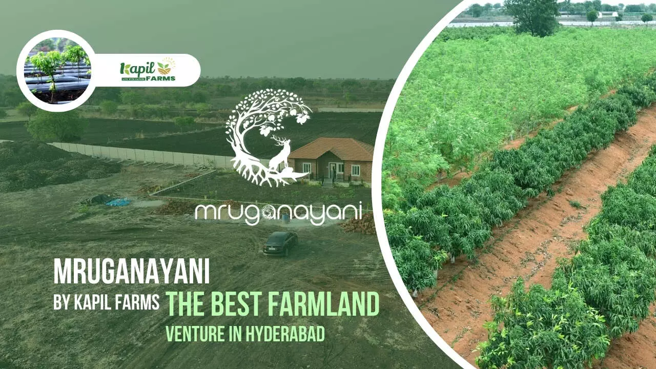 Why Farmland Near Hyderabad is Becoming the Next Big Investment Trend Why Farmland Near Hyderabad is Becoming the Next Big Investment Trend