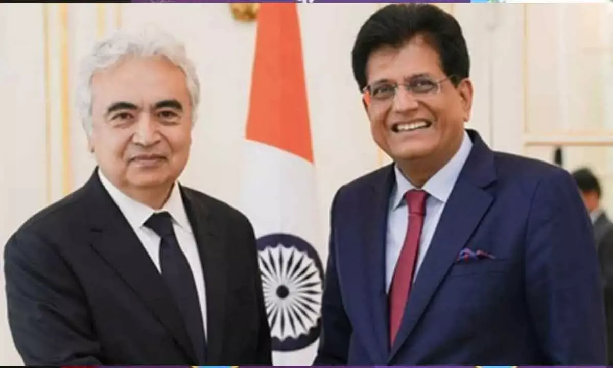 Deepening partnership between India and IEA, says Piyush Goyal