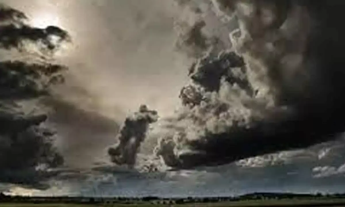 Monsoon Bonanza For Agri-Linked Sectors