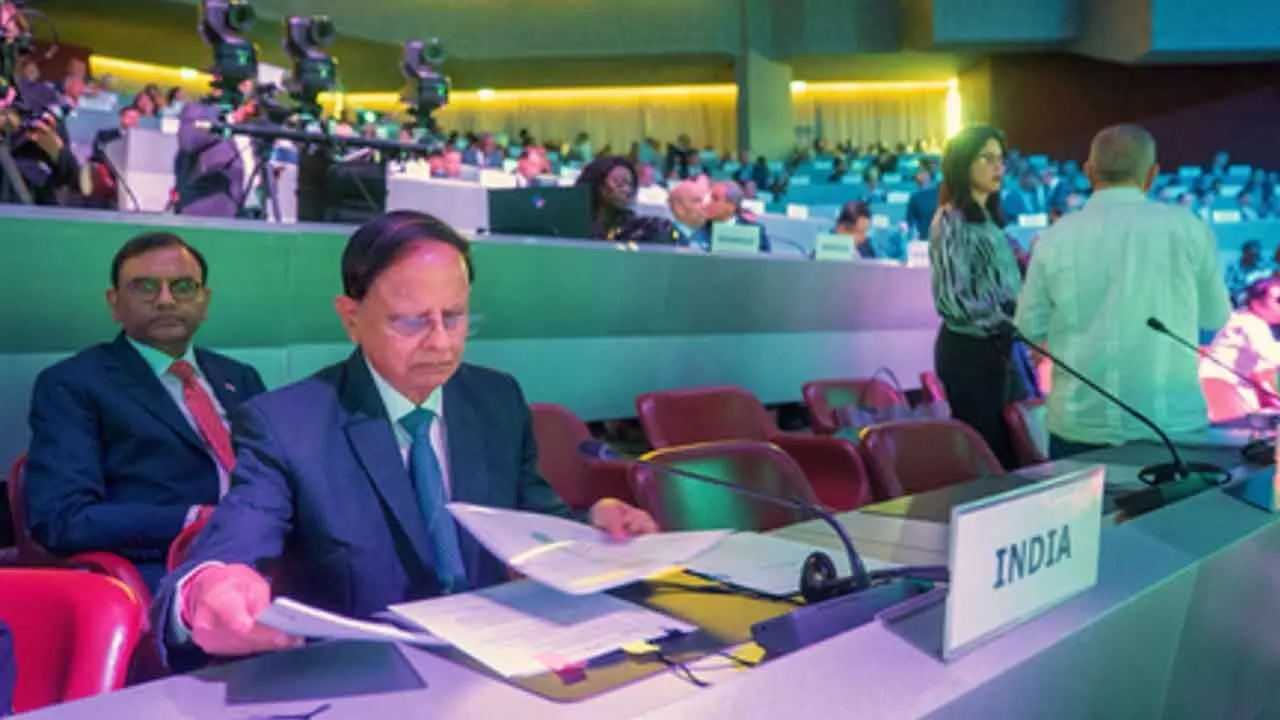 India Reaffirms Commitment To Disaster Resilience Efforts