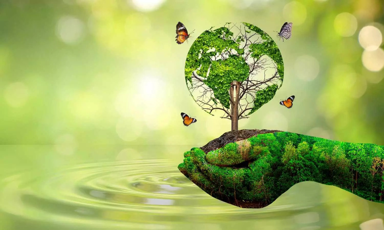 World Environment Day 2025: 50 Inspiring Wishes, Messages and Quotes to Celebrate Our Planet