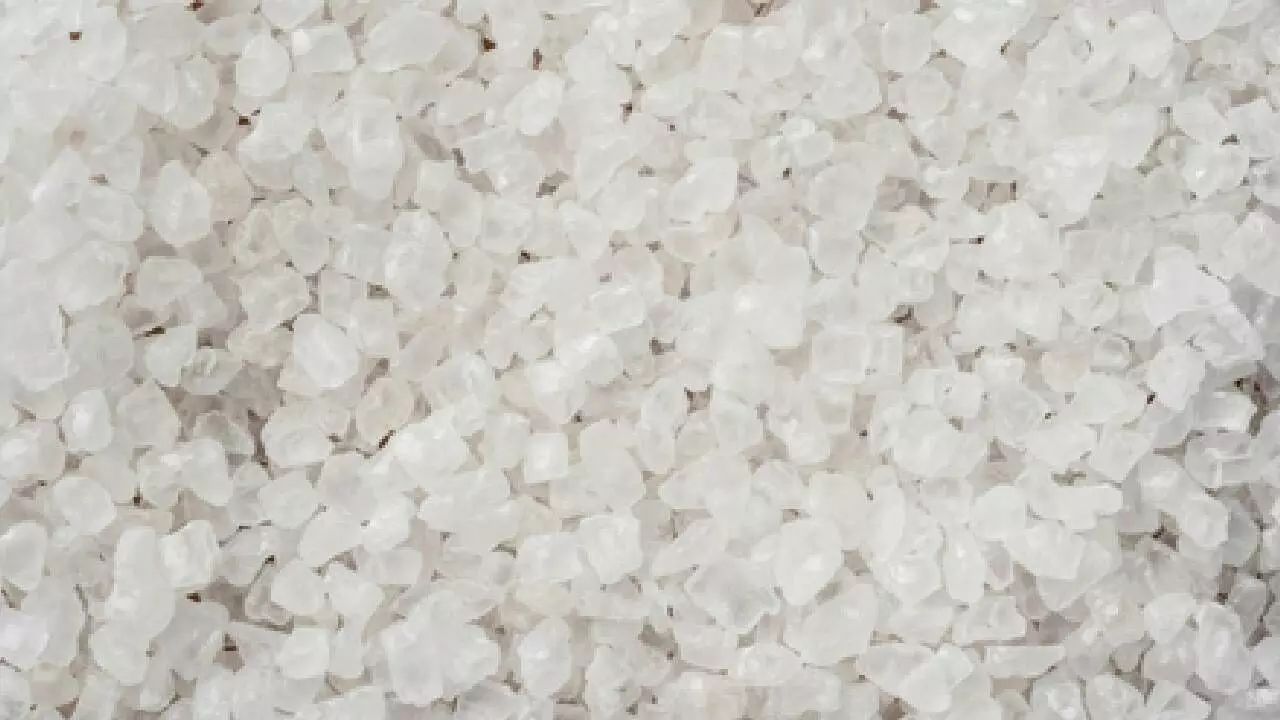 India’s PVC resin market set to grow by 8 pc to reach 5.5 MMT by FY27 India’s PVC resin market set to grow by 8 pc to reach 5.5 MMT by FY27