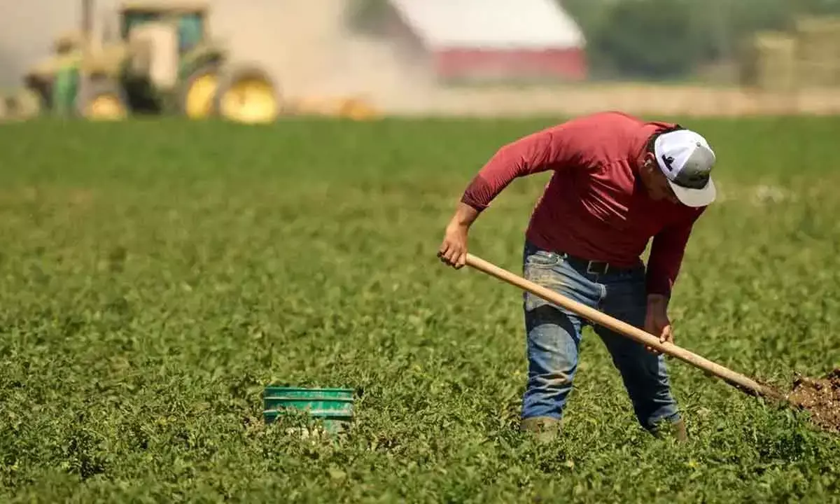 Climate-Smart Farming Facing Hurdles: FAIFA