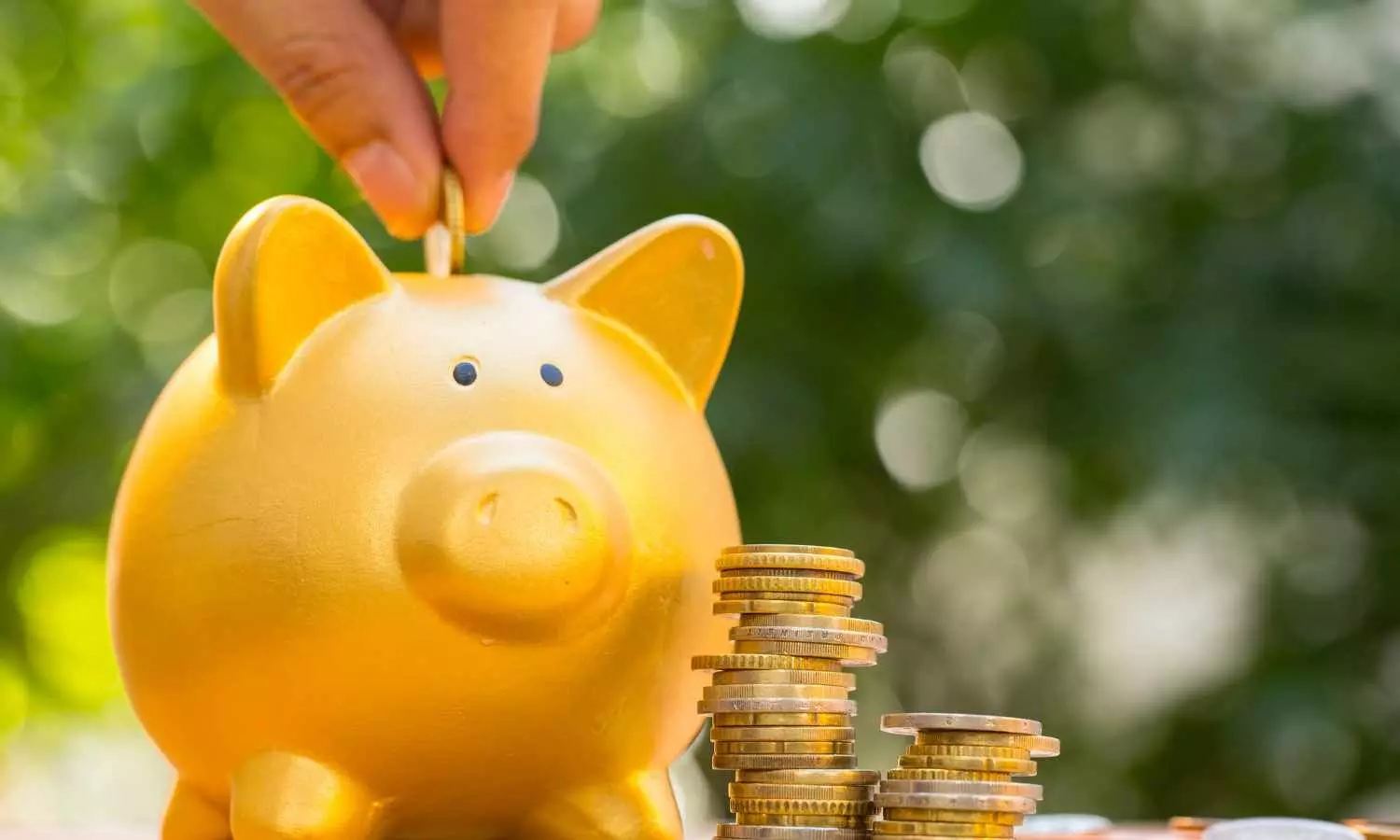 Last Chance to Lock Your FD at Higher Rates – What Investors Should Know After RBI Rate Cut Last Chance to Lock Your FD at Higher Rates – What Investors Should Know After RBI Rate Cut