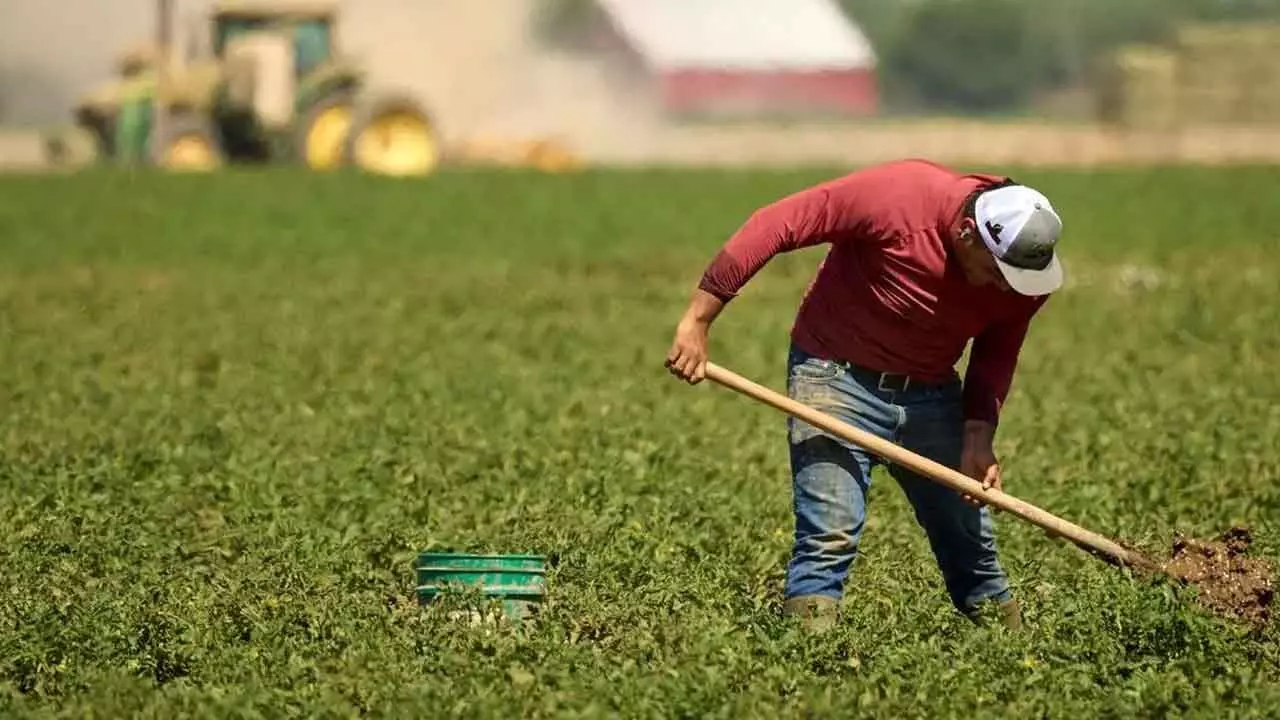 Climate-Smart Farming Facing Hurdles: FAIFA Climate-Smart Farming Facing Hurdles: FAIFA