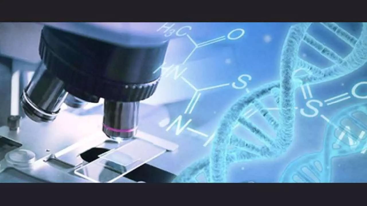 Real-Time Genome Sequencing Developed To Combat Superbug Real-Time Genome Sequencing Developed To Combat Superbug